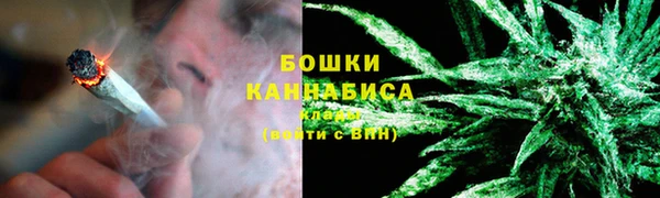 молекула духа Богородск