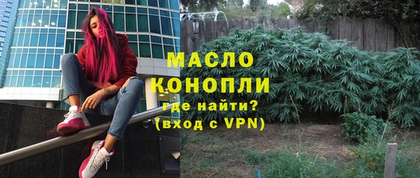 молекула духа Богородск