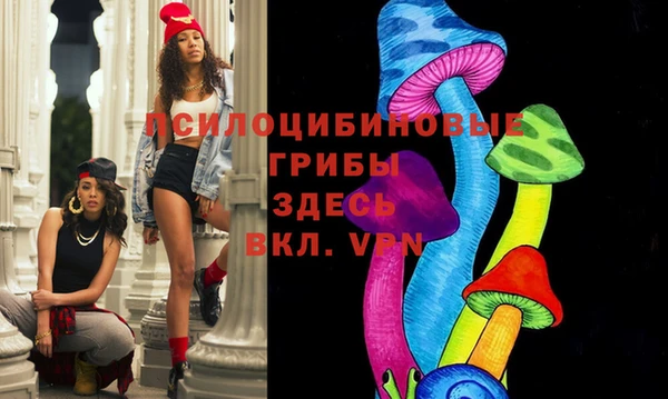 дмт Кодинск
