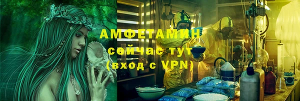молекула духа Богородск