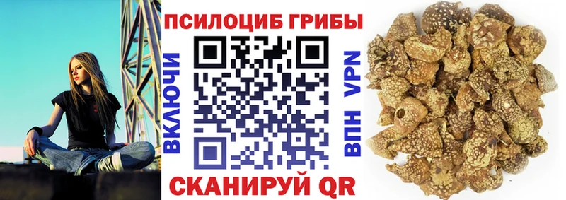 закладки  Вуктыл  сайты даркнета какой сайт  Галлюциногенные грибы мицелий 